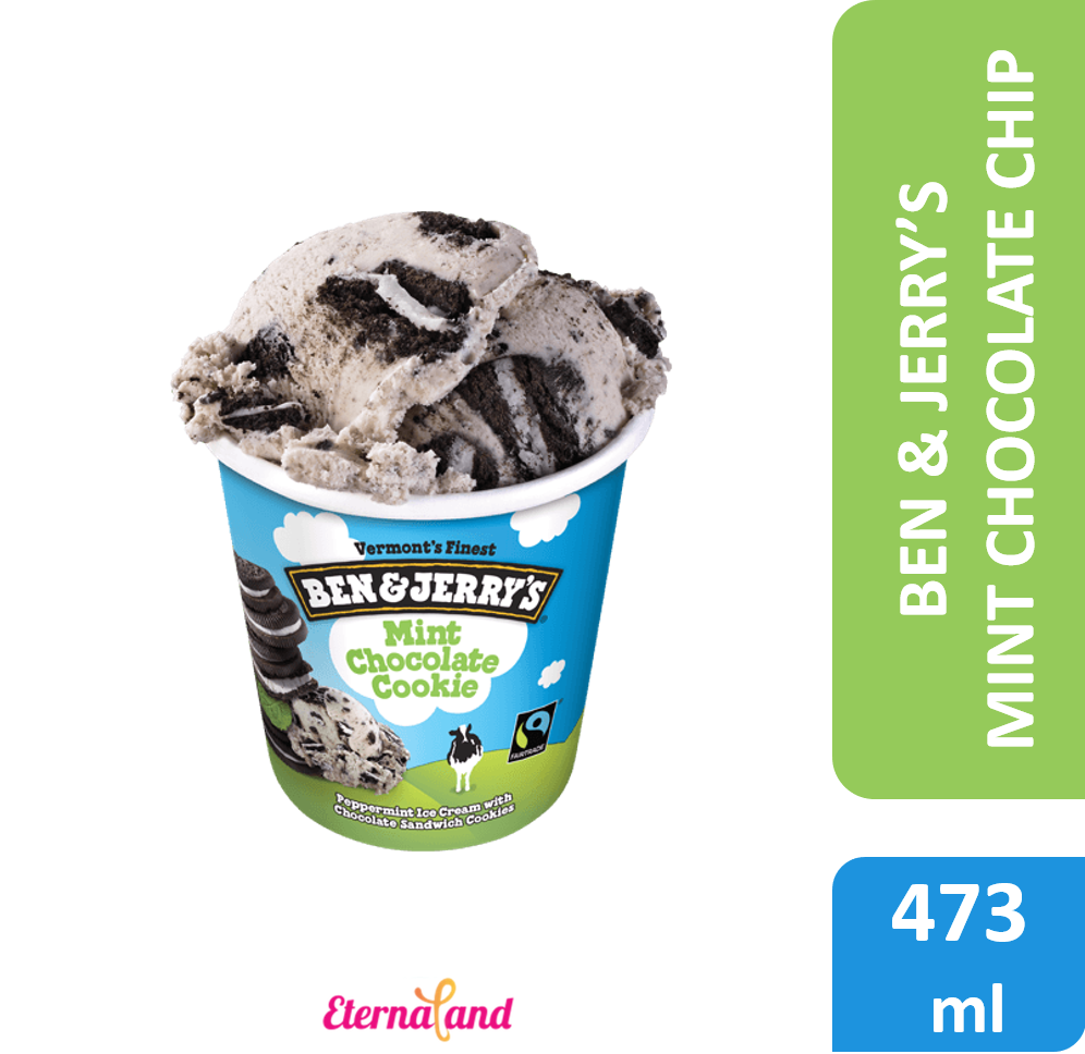 Ben & Jerry Mint Chocolate Cookie 1 Pint / 473 ml